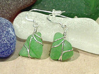 Green Sea Glass And Sterling Silver Earrings - Small Size