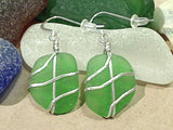 Green Sea Glass And Sterling Silver Earrings - Large Size
