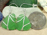 Green Sea Glass And Sterling Silver Earrings - Large Size